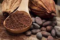 Какао алкализованное 1 кг